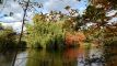 Herbst an der Saale